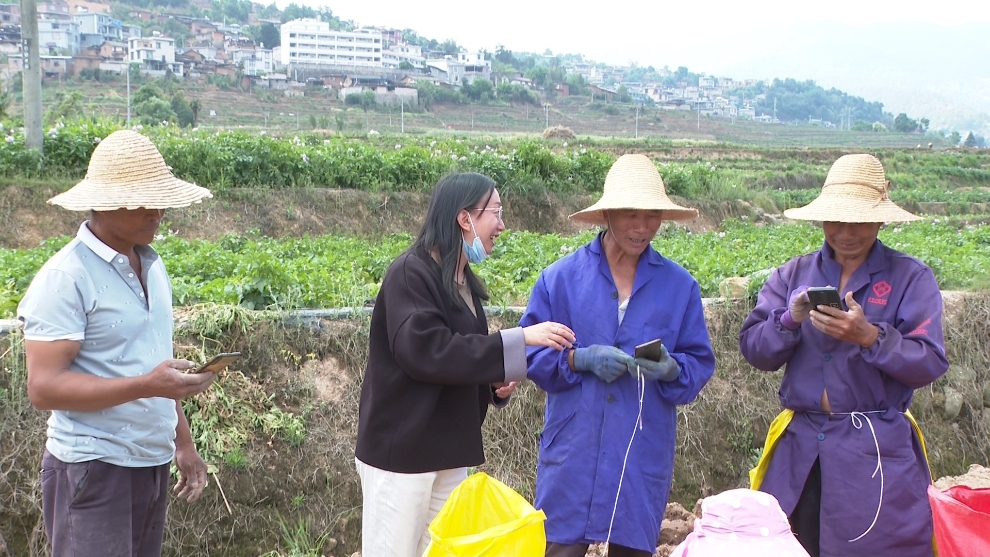 古城街道：反诈宣传进田间 守住群众“钱袋子”