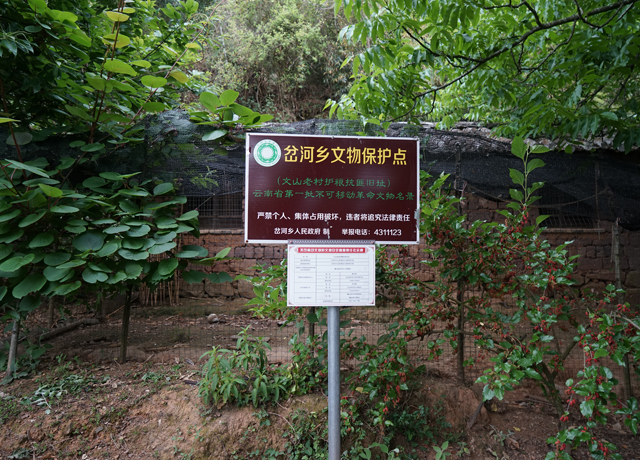 文山组内的文山老村护粮抗匪旧址.jpg