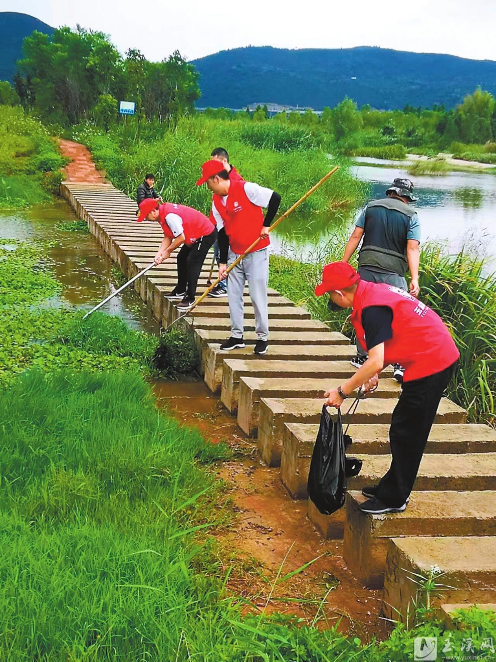 志愿者清理入湖河道内垃圾。（玉溪市抚仙湖管理局星云湖管理处供图）