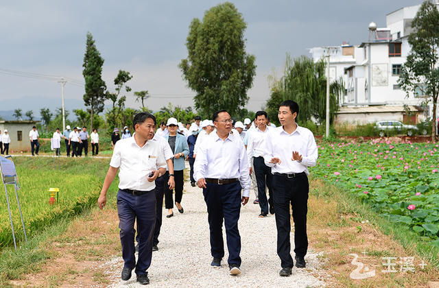 在星云湖南岸乡村振兴示范区观摩星云稻场项目情况。曾永洪 摄.JPG