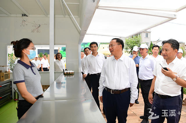 在星云街道三皇寺村观摩绿美新村项目建设情况。曾永洪 摄.JPG