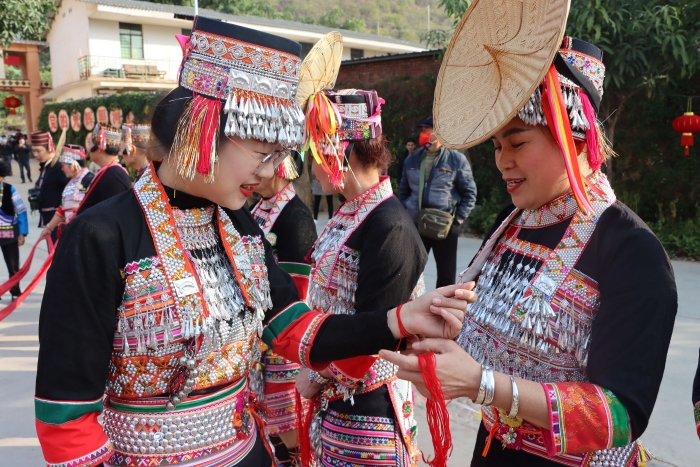 漠沙河口：赏田园风光 享花腰风情(5)