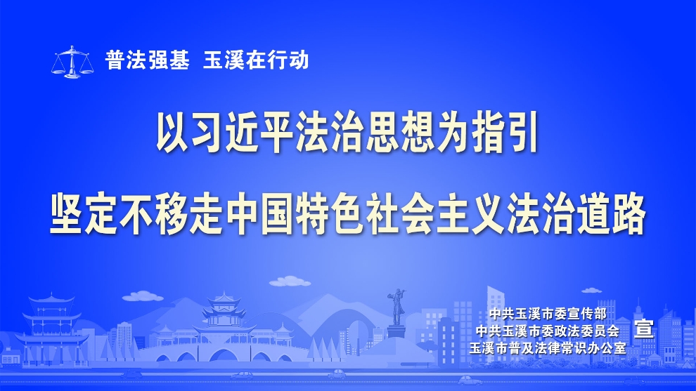 以习近平法治思想为指引