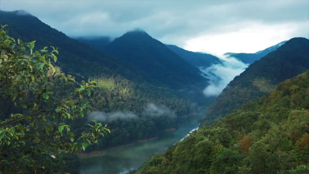 黄连山国家级自然保护区 (3).jpg