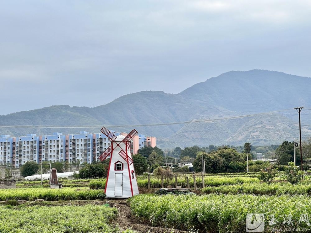 红河街道打造田园美景