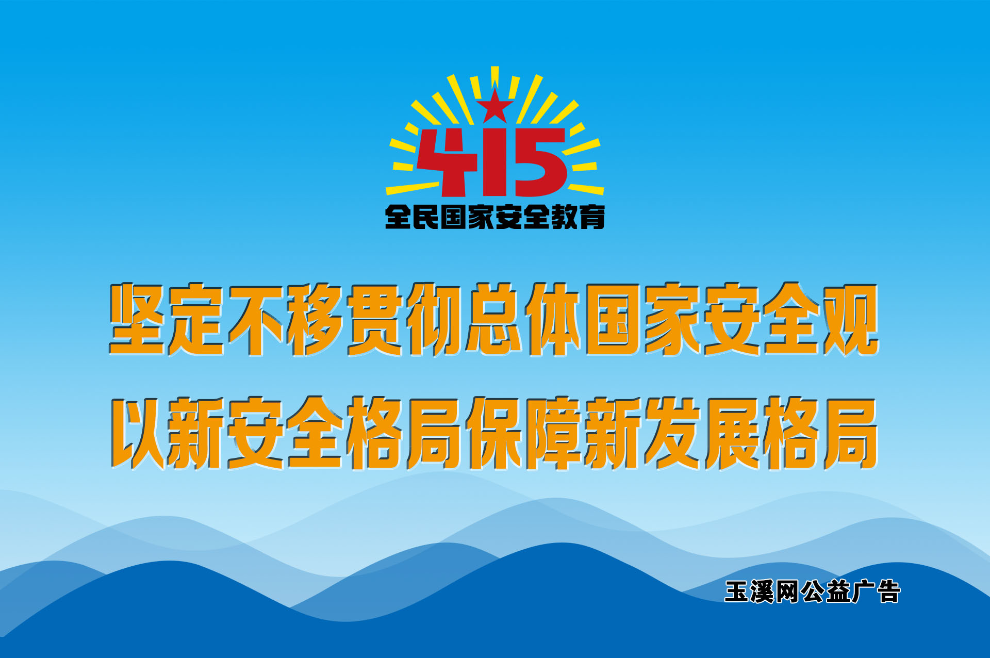 坚定不移贯彻总体国家安全观，以新安全格局保障新发展格局