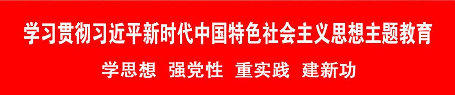 学习贯彻习近平新时代中国特色社会主义思想主题教育顶图