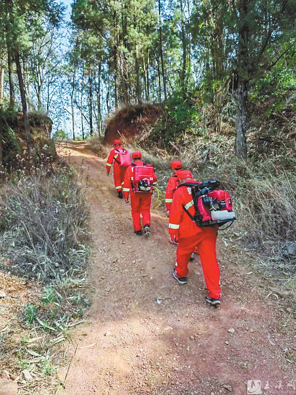 巡查山林。