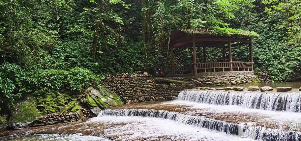 石门峡景区随处可见青藤老树、奇石清泉。