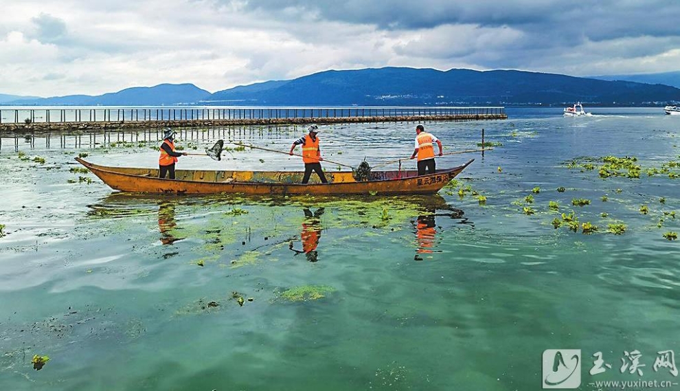 打捞湖面垃圾。