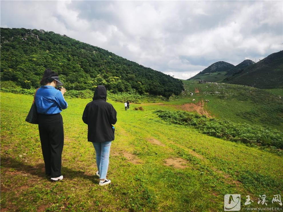 么波冲高山草甸吸引游客前来打卡