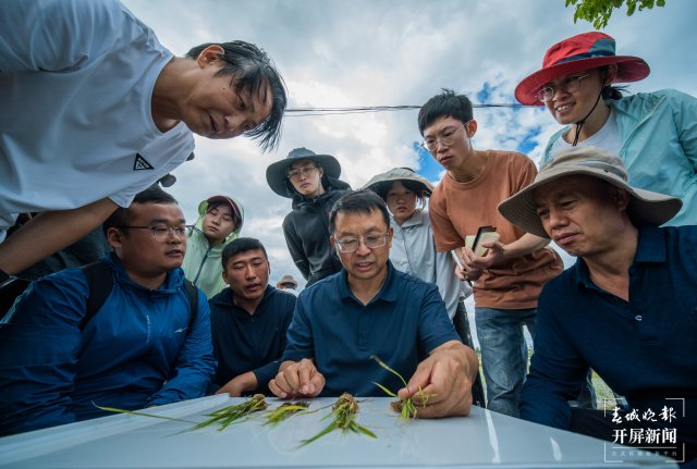 《乡土中国 古生情怀 把论文写在苍洱大地上——中国农业大学大理科技小院师生助力乡村振兴大型摄影展》配图用影像书写田园牧歌！开屏新闻记者带你“云赏”2023大理国际影会亮点展区2.jpg