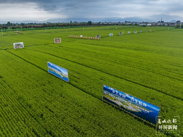 《乡土中国 古生情怀 把论文写在苍洱大地上——中国农业大学大理科技小院师生助力乡村振兴大型摄影展》配图用影像书写田园牧歌！开屏新闻记者带你“云赏”2023大理国际影会亮点展区.jpg