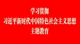 学习贯彻习近平新时代中国特色社会主义思想主题教育