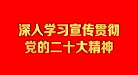 深入学习宣传贯彻党的二十大精神