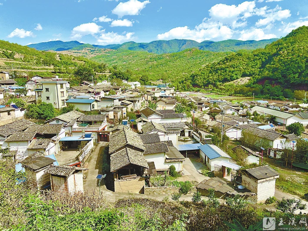 凤窝村四周山峰高耸，山间绿树成荫。