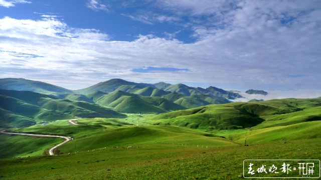 大海草山（资料图）.jpg