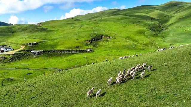 人民网云南频道 刘光信 摄