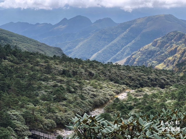 走进轿子雪山自然保护区 罗宗伟 摄