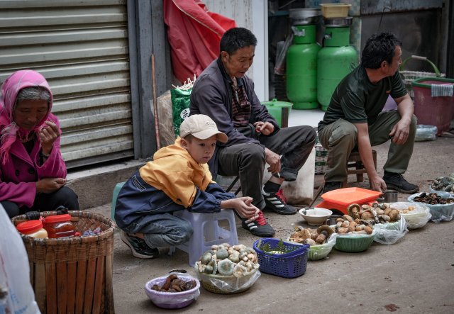 中午，白邑农贸市场，村民开始售卖采到的野生菌1.jpg