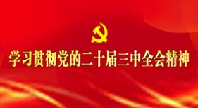 学习贯彻党的二十届三中全会精神