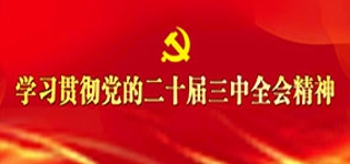 学习贯彻党的二十届三中全会精神