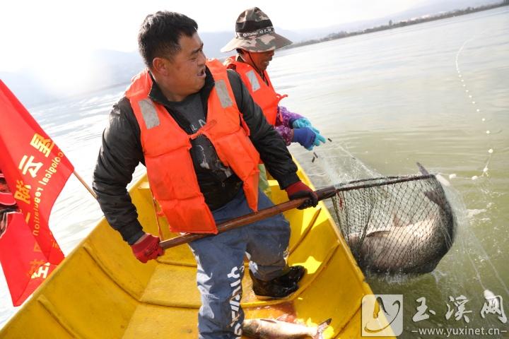 入湖捕鱼。 记者 沈阳 摄